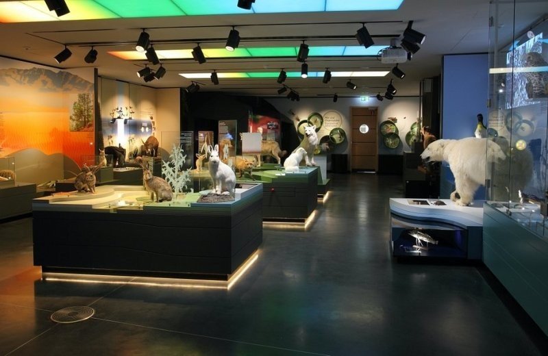 National Museum of Natural History