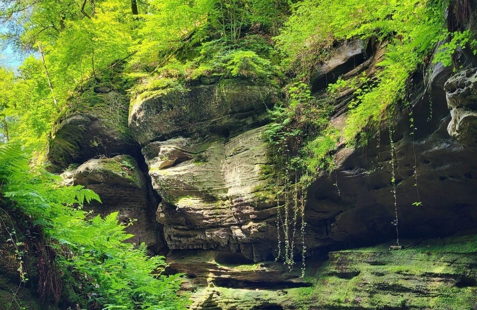 luxemburgische schweiz campingurlaub