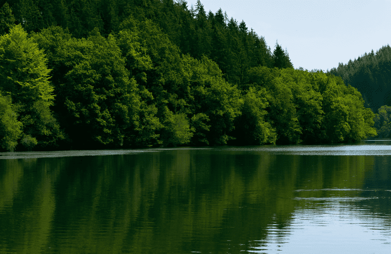 Natuurpark Obersauer