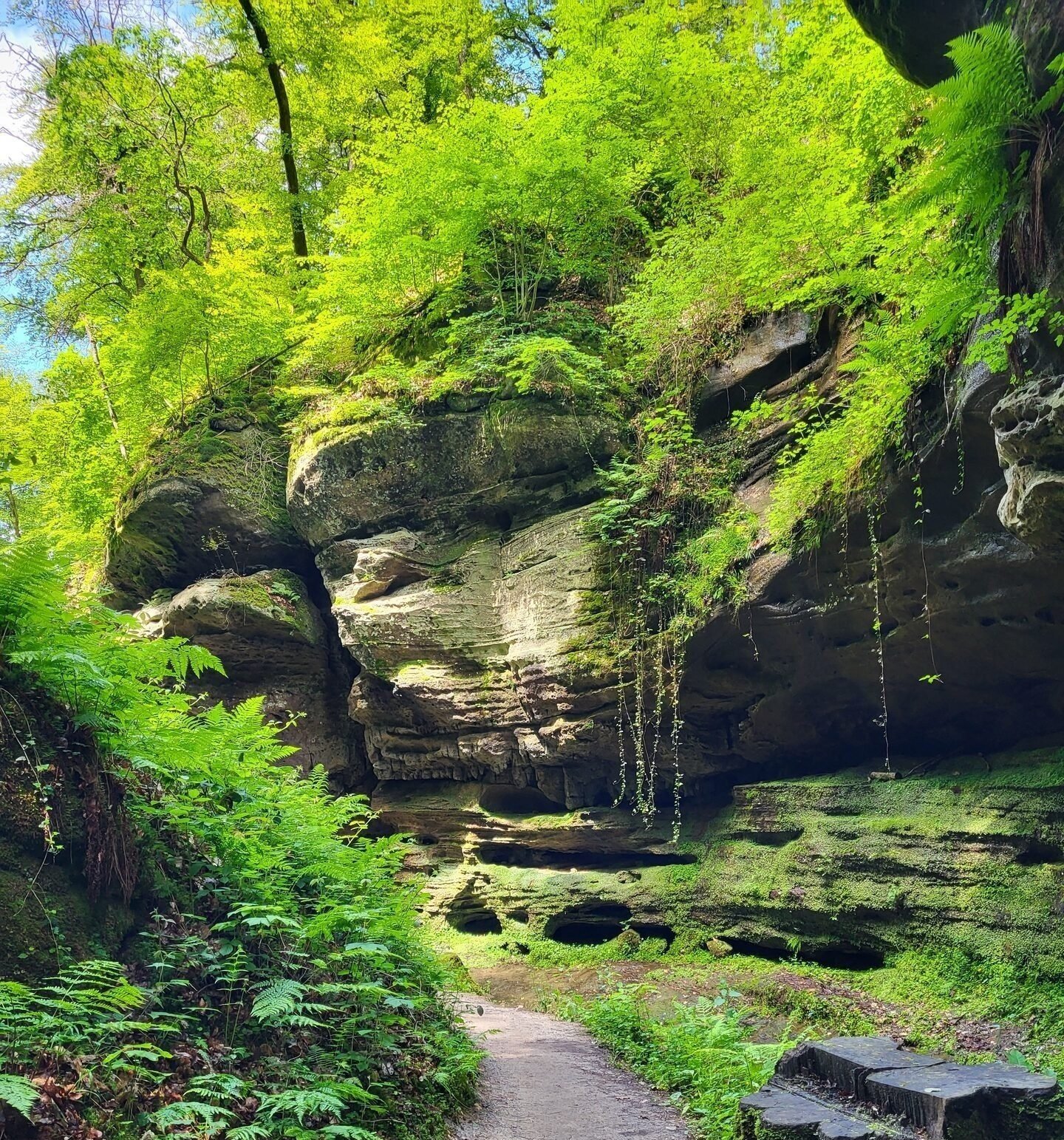 Camping in Luxemburg Felsformationen Wanderung