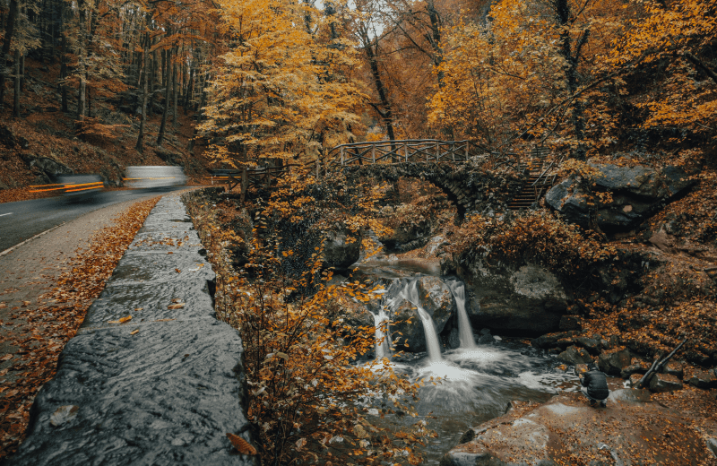 Natuurpark Mullerthal